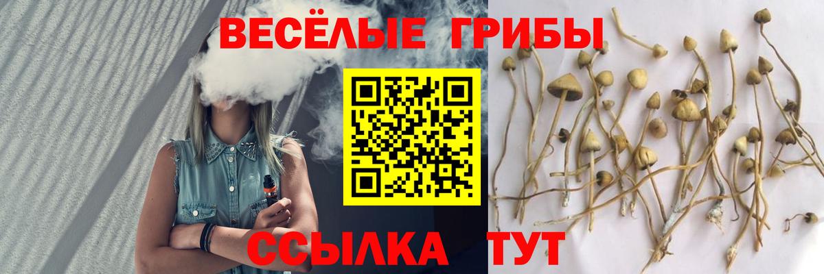 Зерноград  Галлюциногенные грибы GOLDEN TEACHER  Галлюциногенные грибы MAGIC MUSHROOMS  Вход с VPN 